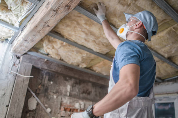 Best Insulation Replacement Services  in Brazil, IN