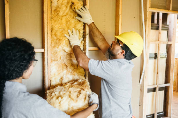 Professional Insulation Contractor in Brazil, IN