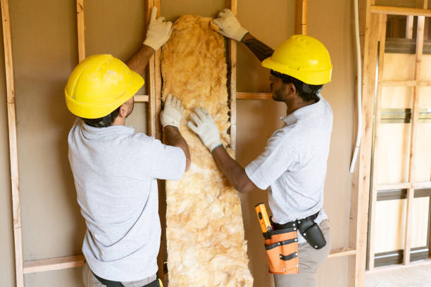 Best Attic Insulation Installation  in Brazil, IN