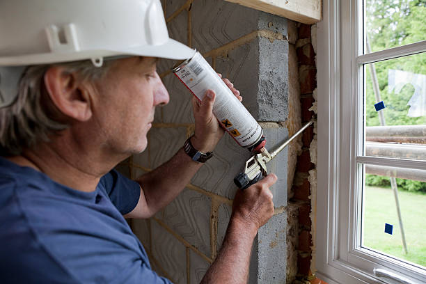 Best Insulation Contractors for Homes  in Brazil, IN